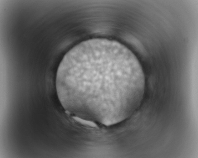 X0000092110968200709262156