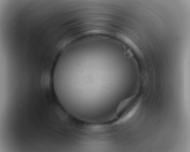 X0000092110969200709262156