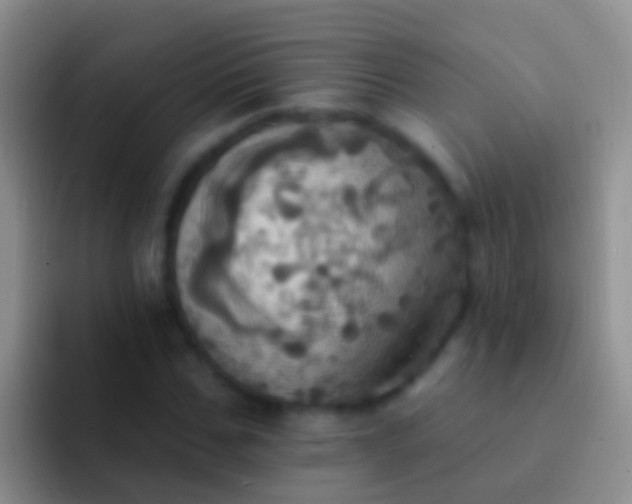 X0000092110971200709262156