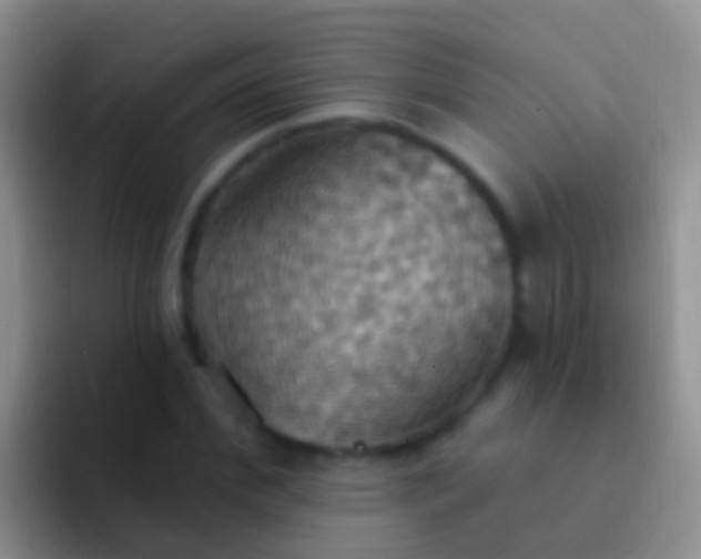 X0000092110972200709262156