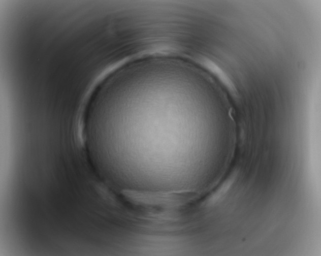 X0000092110973200709262156