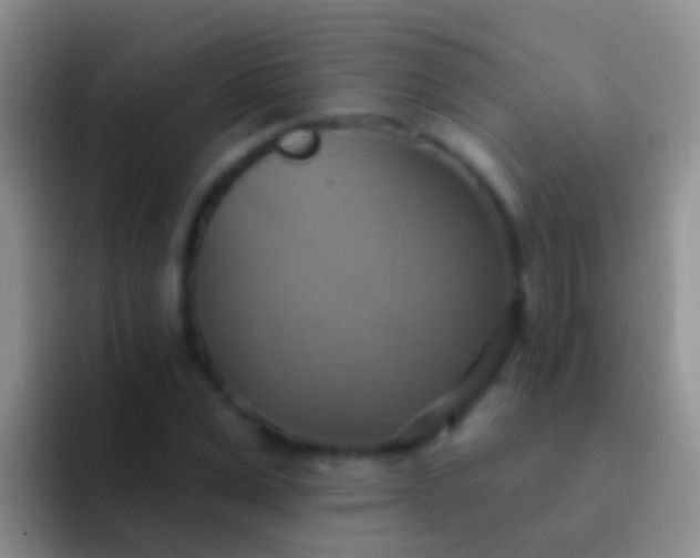 X0000092110975200709262156