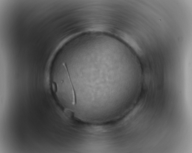 X0000092110976200709262156