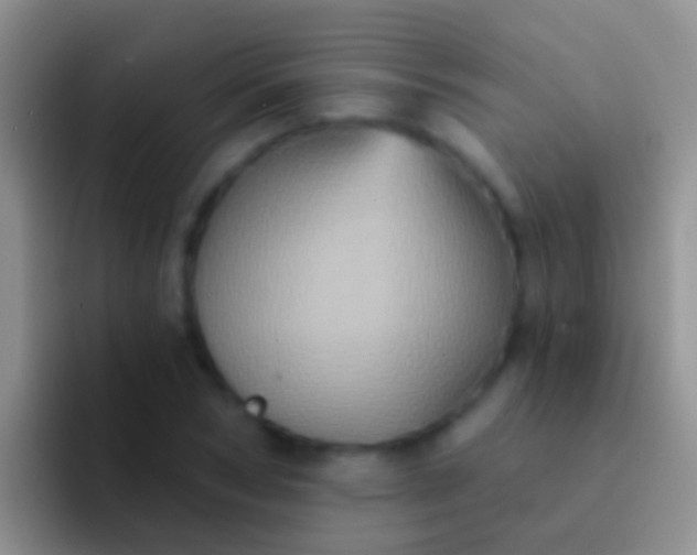 X0000092110978200709262156