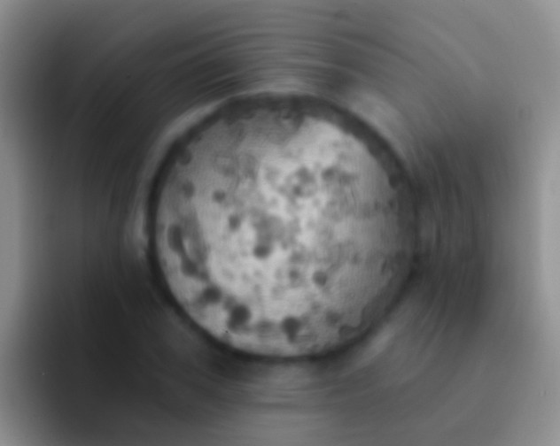 X0000092110979200709262156