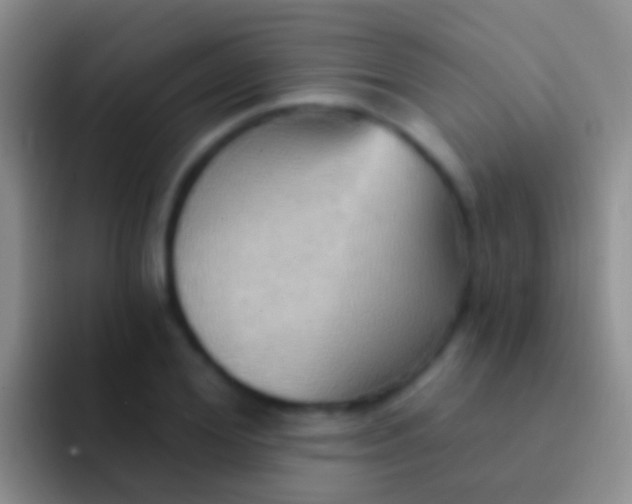 X0000092110980200709262156