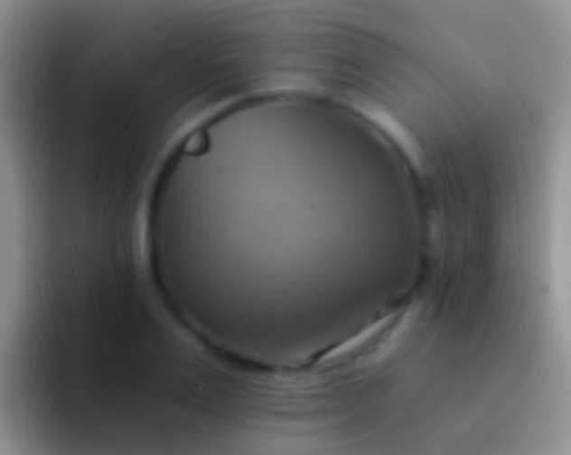 X0000092110983200709262156