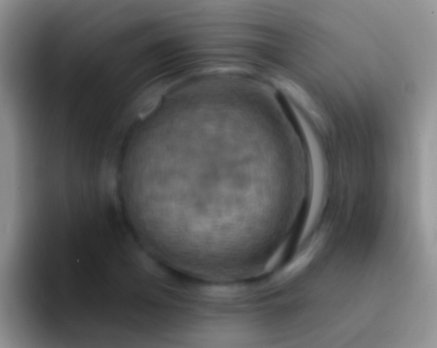 X0000092110985200709262156