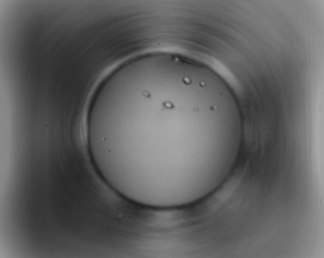 X0000092110988200709262156