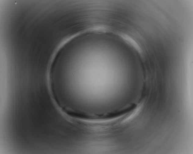 X0000092110989200709262156