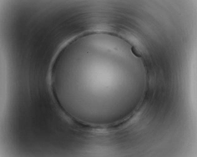 X0000092110990200709262156