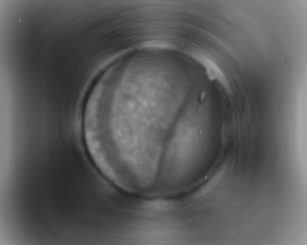 X0000092110992200709262156