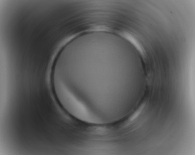 X0000092110995200709262156