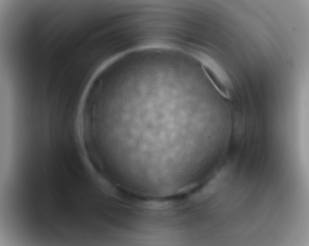 X0000092110996200709262156