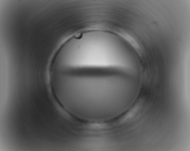 X0000092110998200709262156