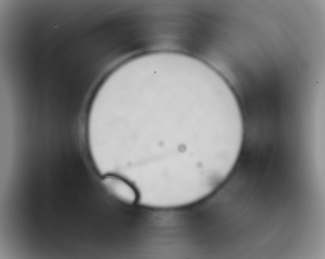 X0000092111000200709262156