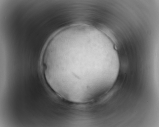 X0000092111004200709262156