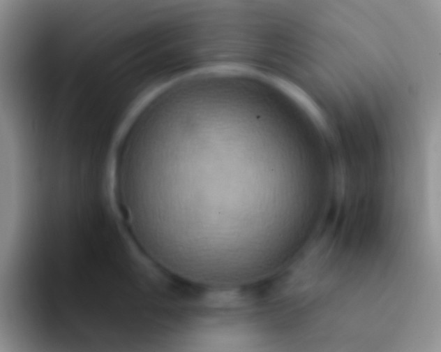 X0000092111006200709262155