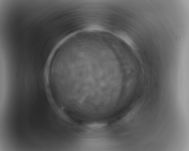 X0000092111008200709262155