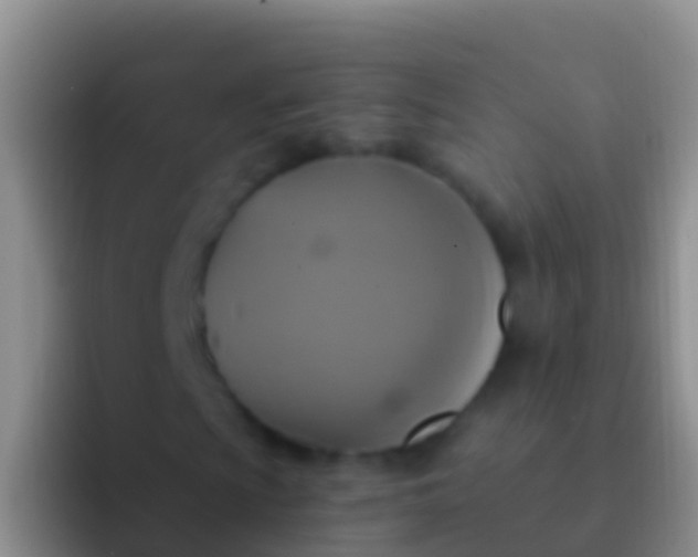 X0000092111009200709262155