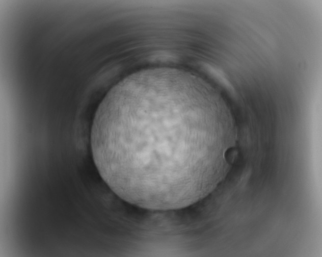 X0000092111015200709262155