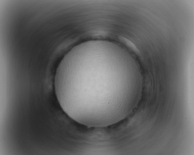 X0000092111016200709262155