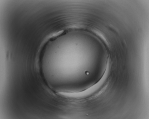 X0000092111018200709262155