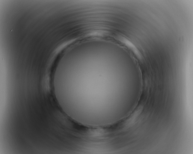 X0000092111019200709262155