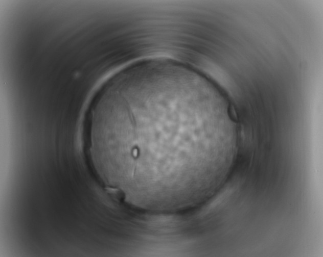 X0000092111020200709262155