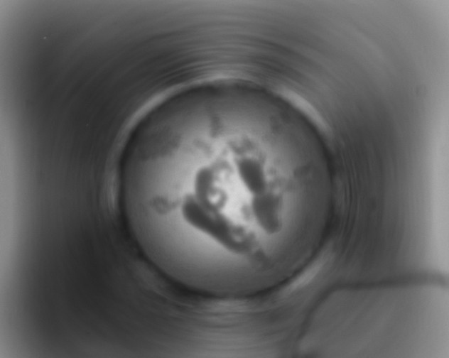 X0000092111021200709262155