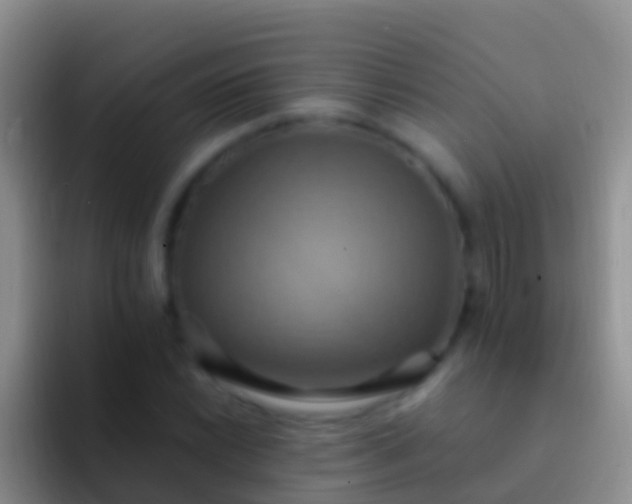 X0000092111022200709262155