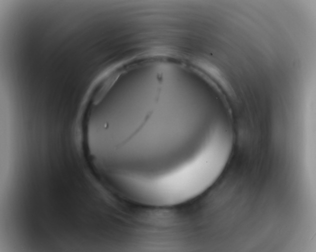 X0000092111024200709262155