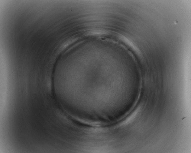 X0000092111025200709262155