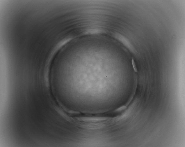 X0000092111026200709262155