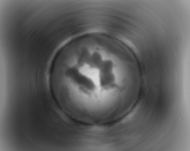 X0000092111029200709262155