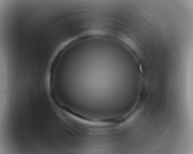 X0000092111030200709262155