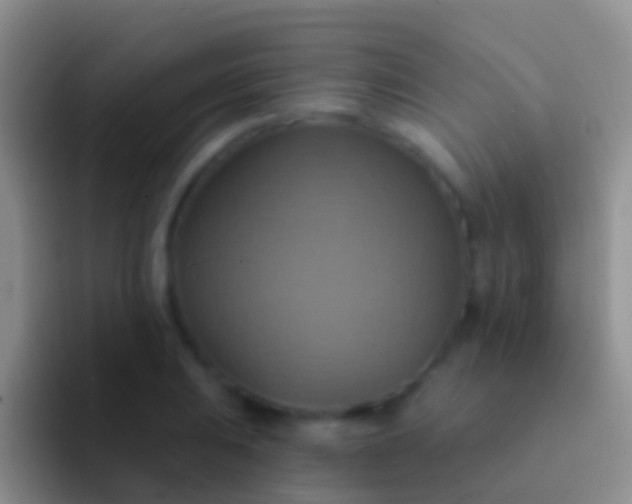 X0000092111031200709262155