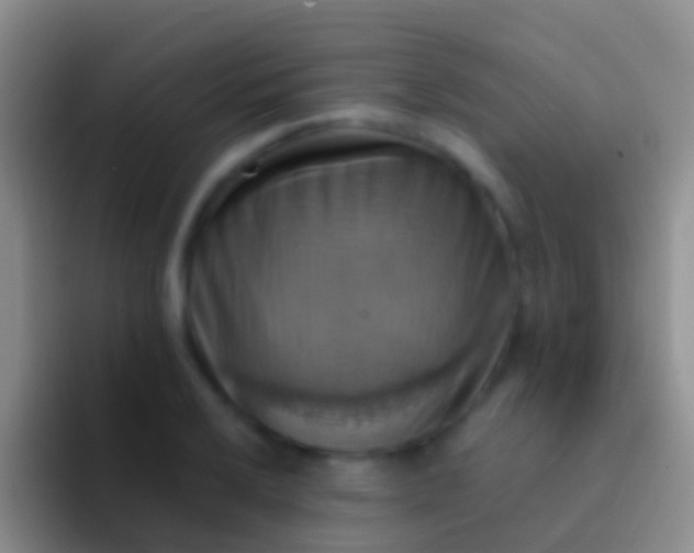 X0000092111032200709262155