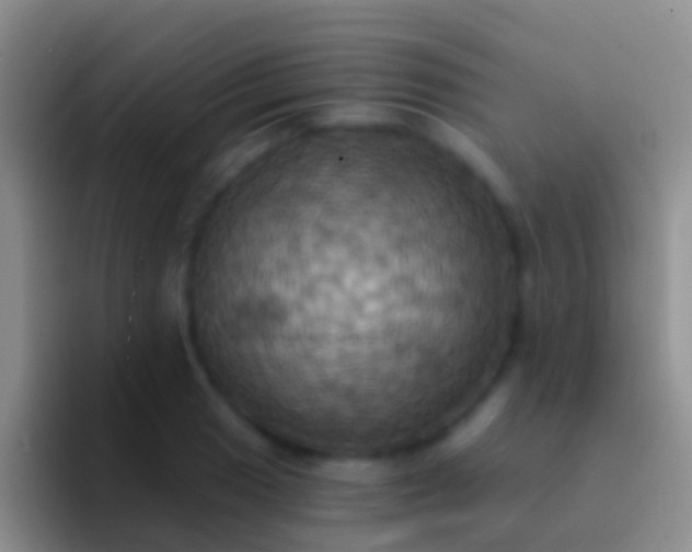 X0000092111033200709262155