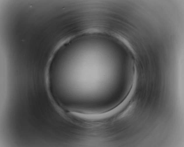 X0000092111034200709262155