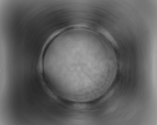 X0000092111036200709262155