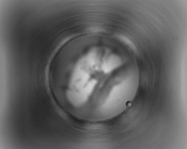 X0000092111039200709262155