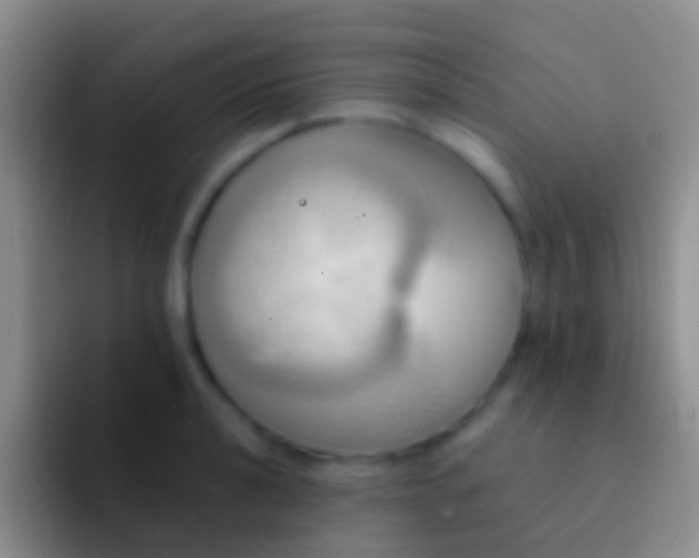 X0000092111040200709262155