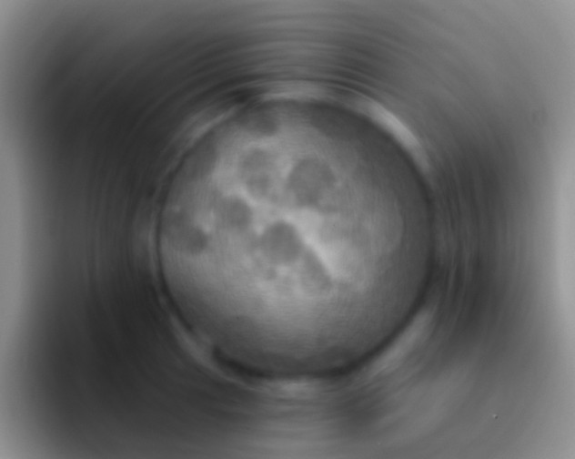 X0000092111041200709262155