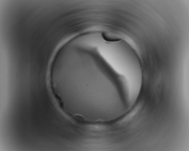 X0000092111045200709262155