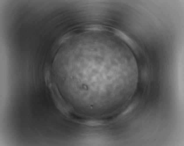 X0000092111049200709262155