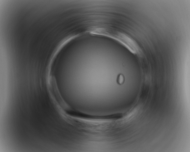 X0000092111050200709262155