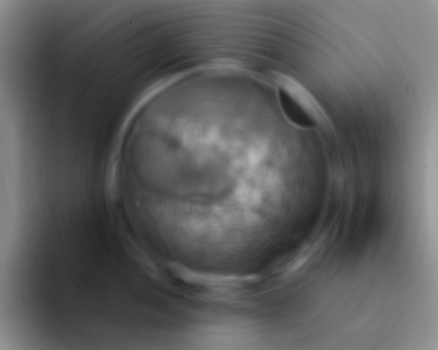 X0000092111052200709262155