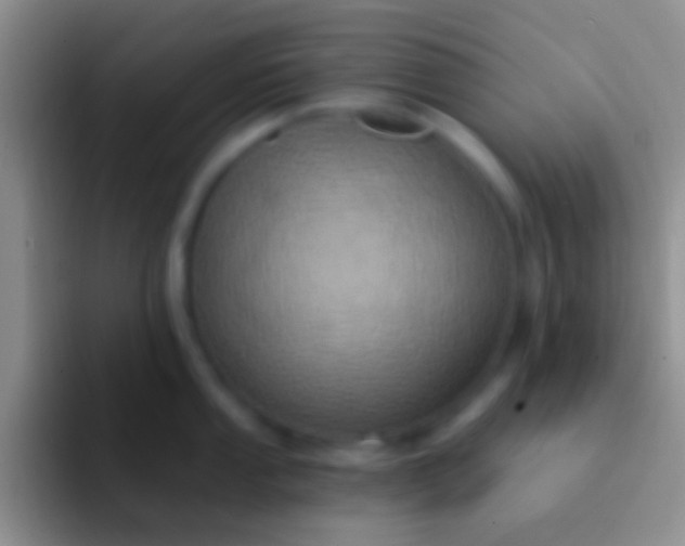 X0000092111053200709262155