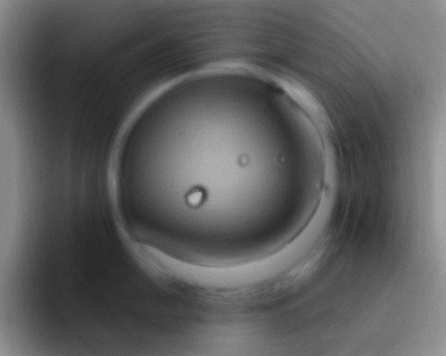 X0000092111054200709262155